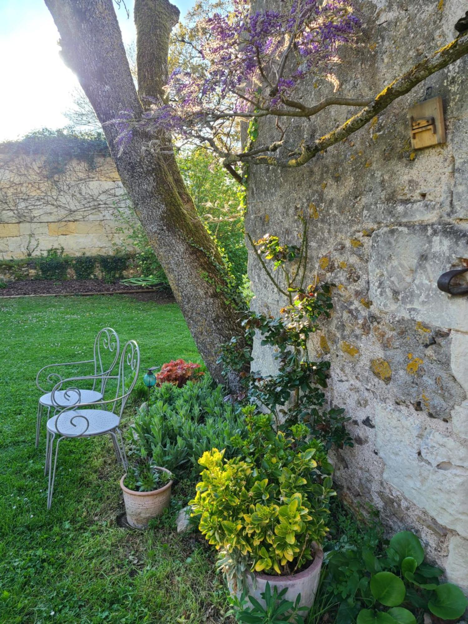 Gite De La Bergerie Villandry Exteriör bild